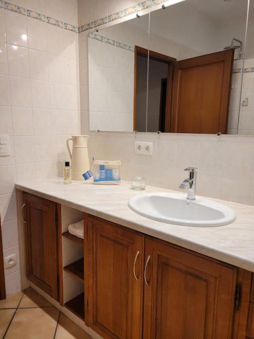 Revel  Grand Gites 6 Personnes Uriage Chamrousse Grenoble מראה חיצוני תמונה
